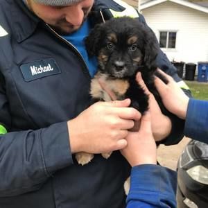 Meet your Posher, Michael